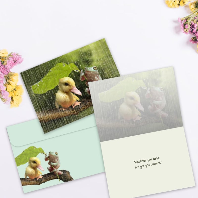 Tree-Free Greetings - Birthday Cards - Artful Designs - 8 Cards + Matching Envelopes - Made in USA - 100% Recycled Paper - 5"x7" - Thinking of You, Friendship, All Occasion, Thank You, Birthday (AGA1139) - Image 3